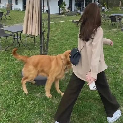 炫目之光