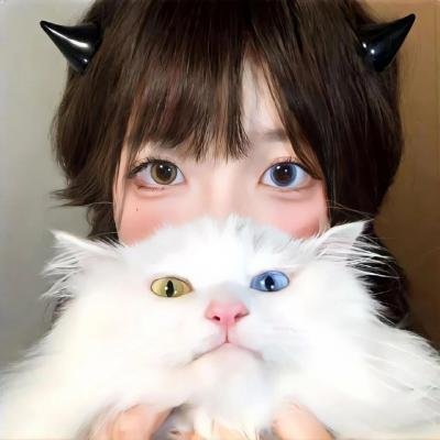 敌人